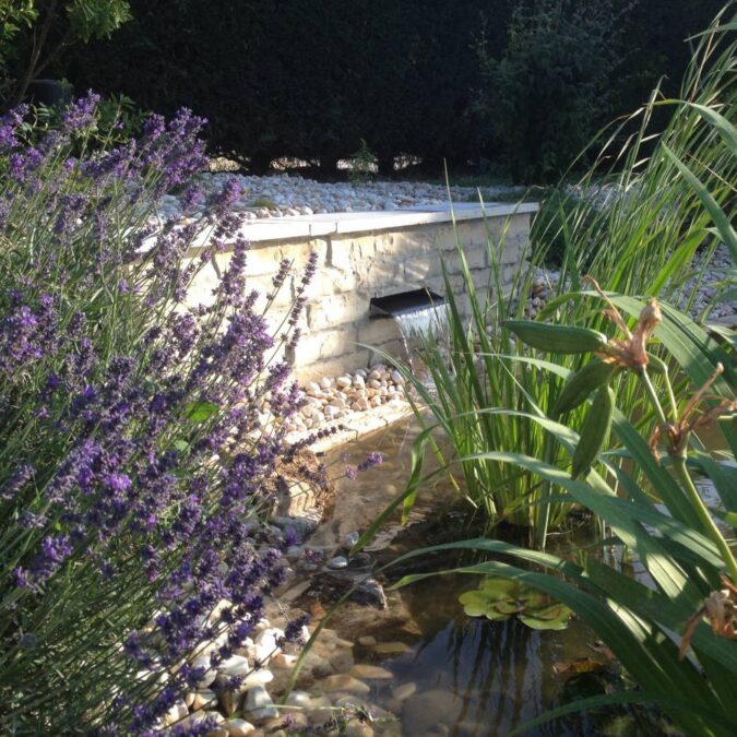 L&#8217;eau: piscine et bassin Colmar 40