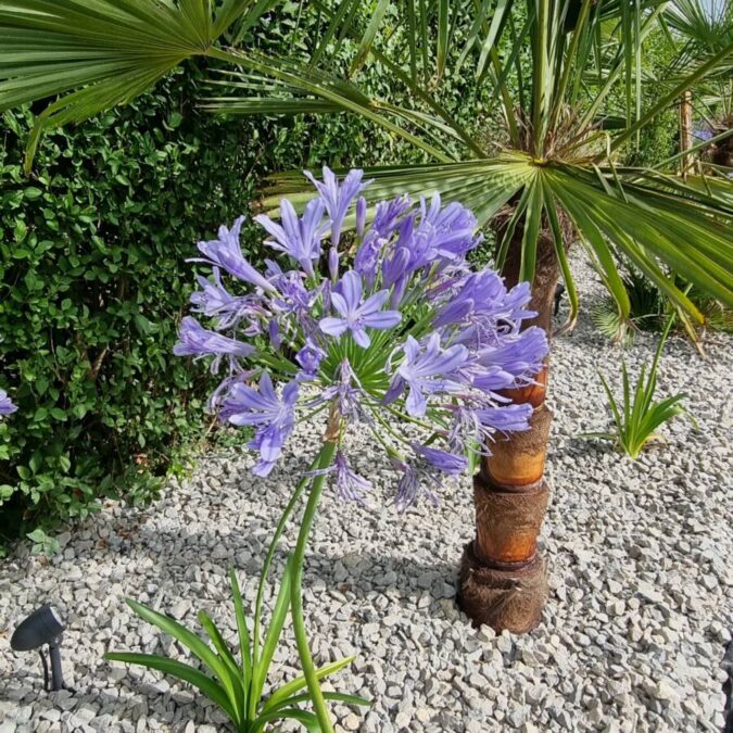 Conception de votre futur jardin paysager Benfeld 1